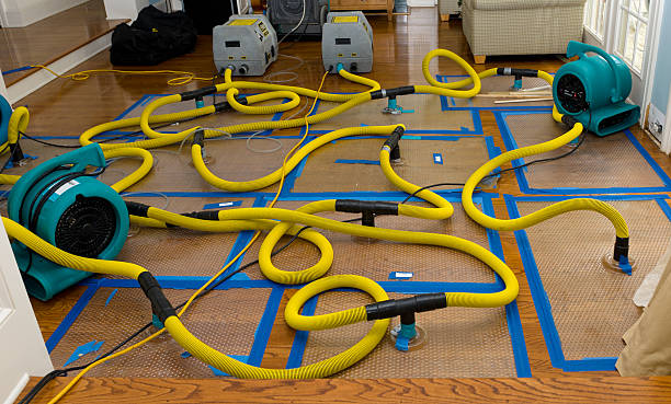 Professional Water Damage Restoration technician working in Sangerville, ME